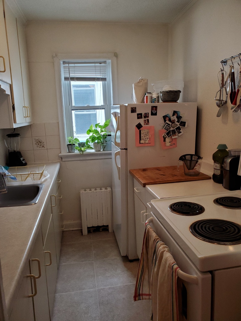 Large 1 Bedroom in Beechwood Vilage Available November 1st 4