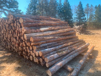 Cedar Rails 12 Feet Long, great for fencing, and pole barns