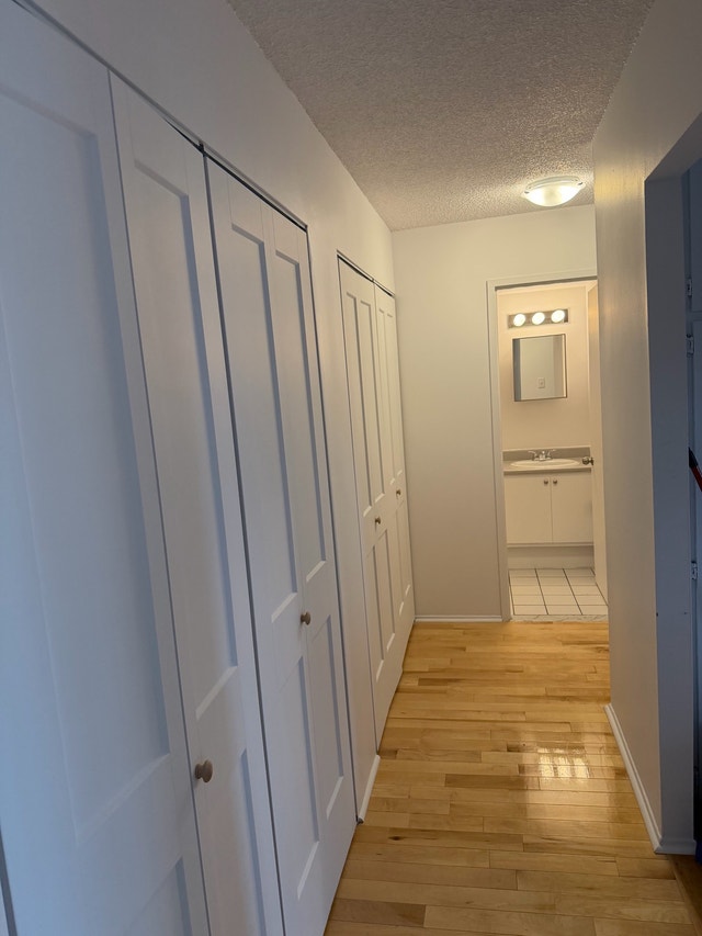 chambre à louer — photo 1