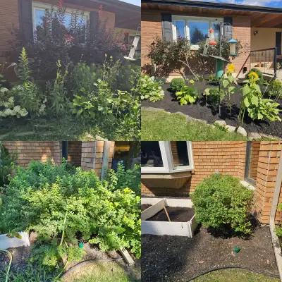 Summer is here, and it's time to get your space in tip-top shape! All photos are of completed jobs....