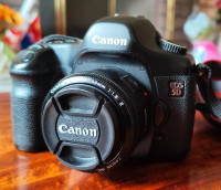 Canon 5D + EF 50/1.8