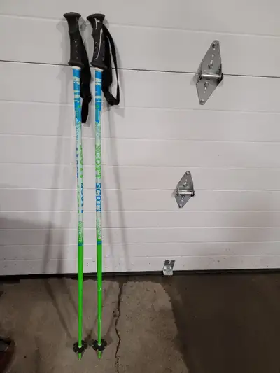 SCOTT 120CM/48 in Downhill Ski Poles, View more