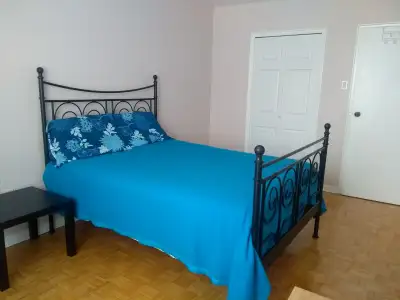 Renting a nice room for a responsible, quiet and clean/tidy female. Sharing the Bathroom and the kit...