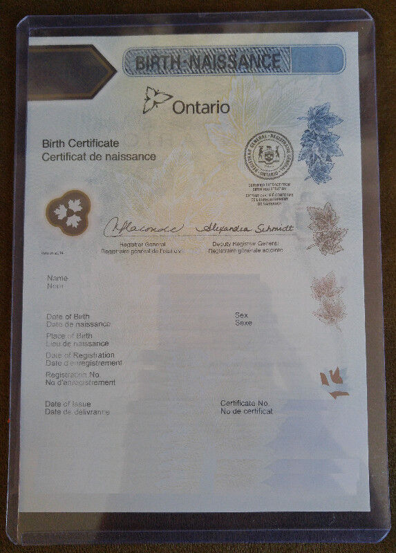 Hard Plastic Holder Case for Ontario ShortForm Birth Certificate Arts