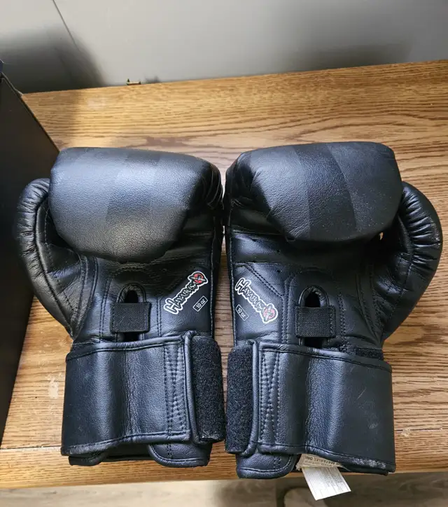 10oz Boxing Gloves (Hayabusa)63871131600771121