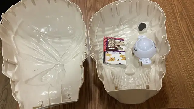 skull head with things inside as is64645239640322123