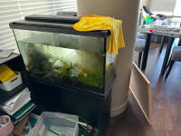 fish tank/ aquarium tank with stands