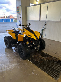 2007 can am renegade 800