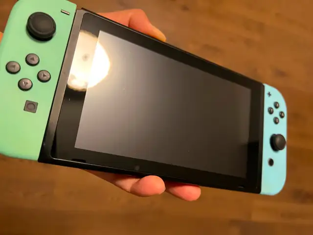 Nintendo switch animal crossing edition full kit good condition63234525967619121