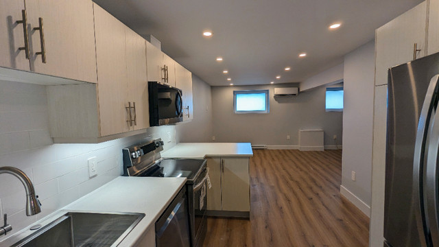 Modern basement walk-out Apt. in 3-unit house, Halifax Peninsula in Long Term Rentals in City of Halifax - Image 4