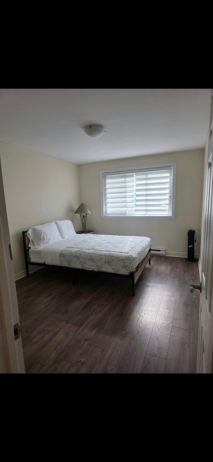 condo for rent — photo 2