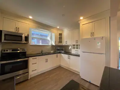 NEWLY RENOVATED 3 BEDROOM 1 BATHROOM NEAR HIGH PARK!