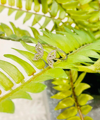 Cute Butterfly ring size adjustable