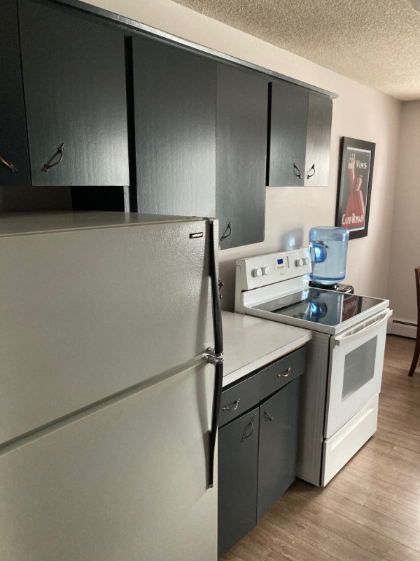 YORKTON - 2 Bedroom Furnished Apartments for Rent in Long Term Rentals in Regina - Image 2