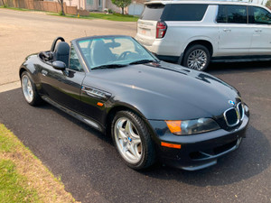 1998 BMW M Roadster & Coupe Leather