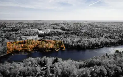 Terrains à vendre – En bordure de lac ou avec accès notarié au lac À partir de 249 000 $ + taxes Off...