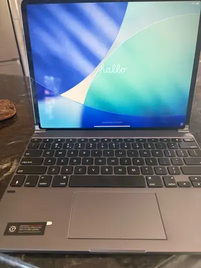I am selling this Apple iPad Pro 12.9-inch (4th Generation) with 128GB of storage in Space Gray, whi...
