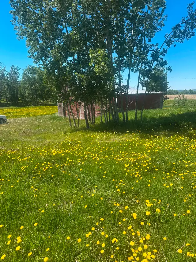 **For Rent: Spacious Shop on 2 Acres – Ideal for RV Storage!** in Storage & Parking for Rent in Red Deer - Image 4