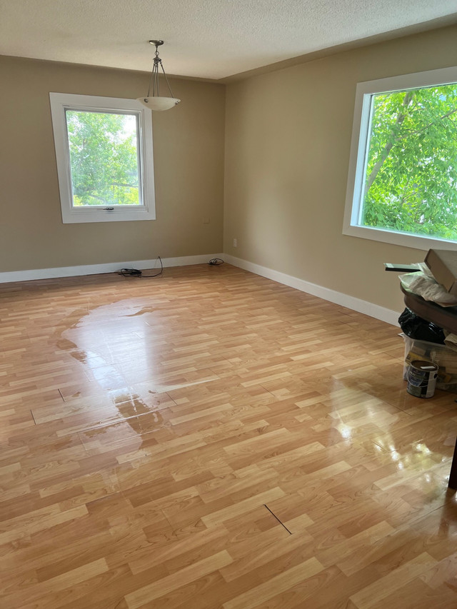 Housecleaning / Move out / Carpet Rugs, Carpets & Runners Red Deer