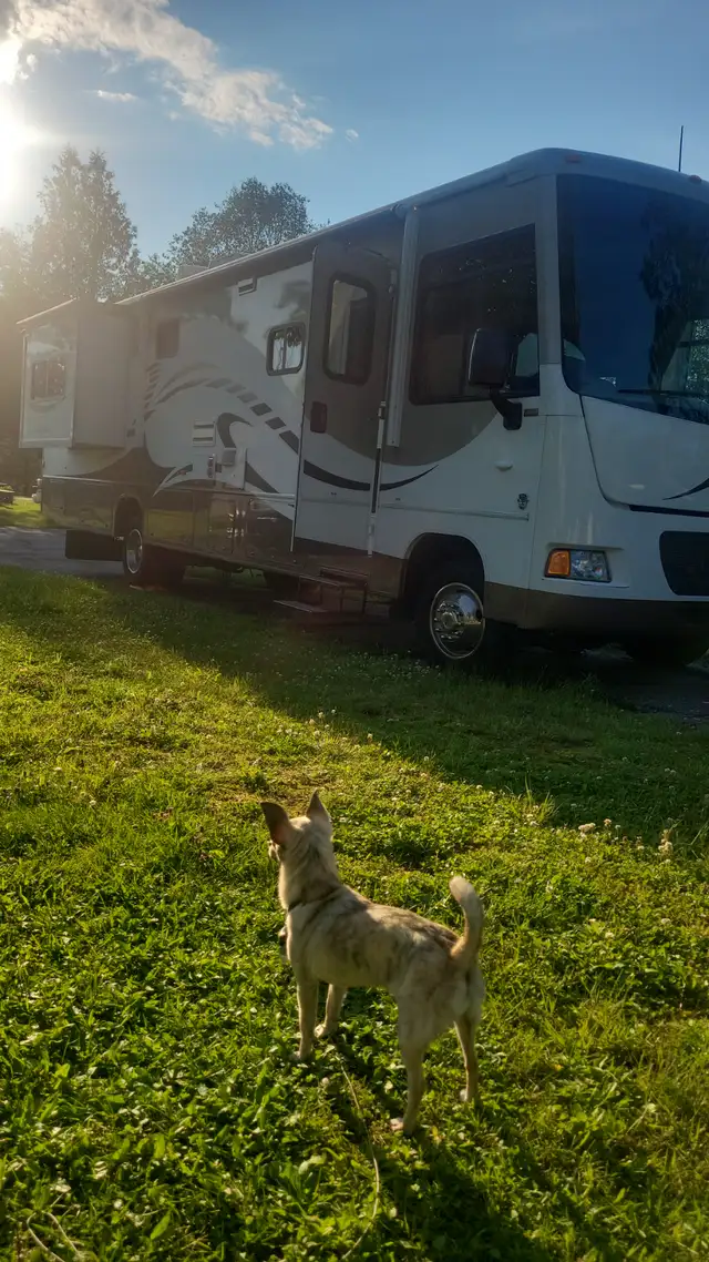 Winnebago Itasca Sunstar 35F 2011  St-Bernard-de-Lacolle in RVs & Motorhomes in Longueuil / South Shore - Image 6