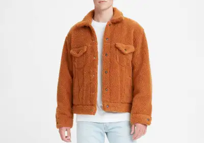 ❤️ Levi’s Teddy Sherpa Trucker Jacket (Fits like Large) ❤️, View more