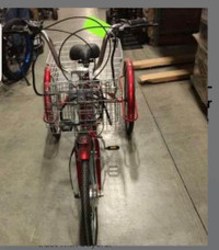 Red E-Bike Electric Tricycle, Hub Motor, Custom logo FWD bicycle