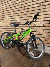 Genesis Junior Sport Mountain Bike 20”