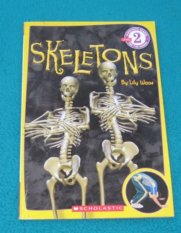 Skeleton Theme Primary Reading books64335579238146121
