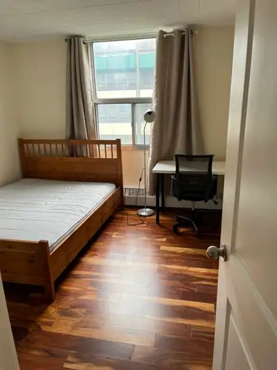Large, south-facing, furnished room for single occupancy available May 1 in a clean, comfortable, sa...
