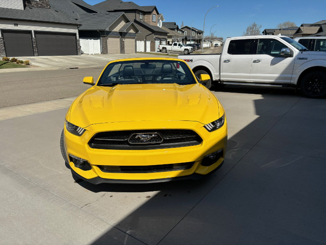 SALE - 2015 FORD MUSTANG GT CONV. PREMIUM (50TH ANNIVERSARY.) in Cars & Trucks in Medicine Hat - Image 3