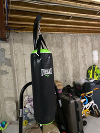 Everlast punching bag  full set (70 lb bag, gloves, stand) 