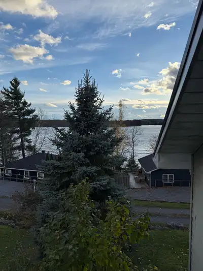 1 bedroom furnished apartment 1 bathroom Washer/dryer combo Very private and peaceful setting Rentin...