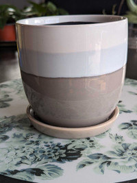 Cache pot céramique beige et bleu pâle plante 