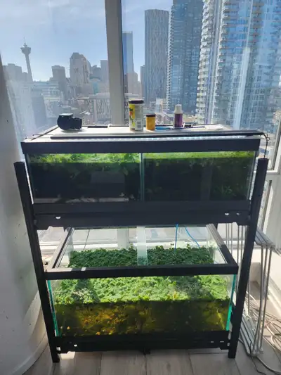 breeding setup, View more
