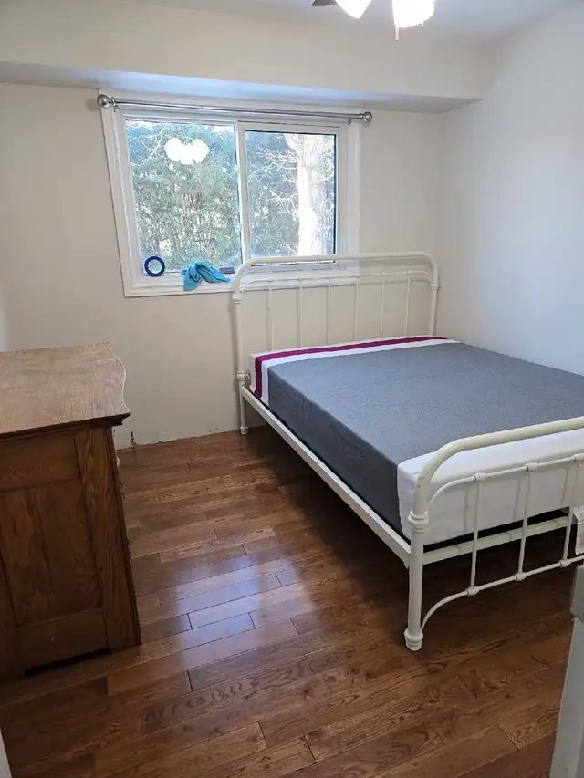 Renovated Room for Rent available March 1st