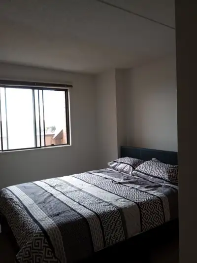 Looking for male room mate Dalhousie 950