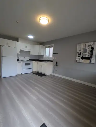 This is a recently renovated private 2 bedroom ground level suite conveniently located steps away Fr...