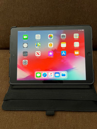 iPad Air (1st generation - mint condition)