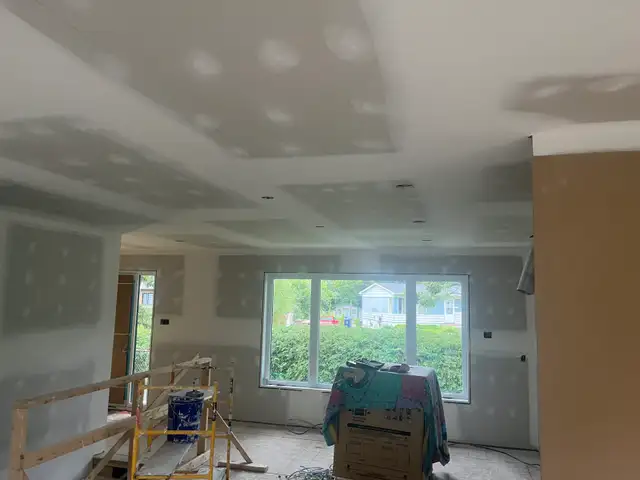 Professional Drywaller524412500721674248