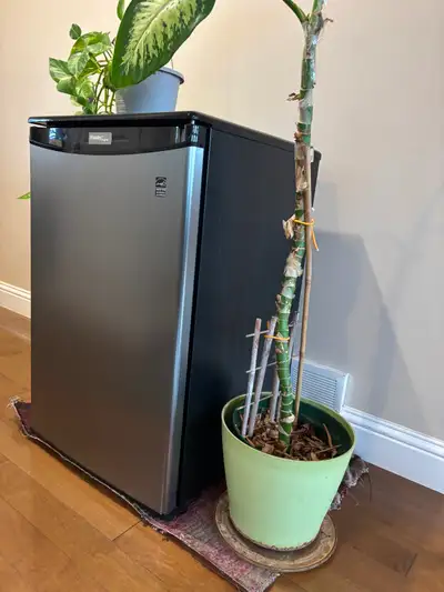 Look At This Steal ! Danby Designer Mini Fridge For $160 FIRM, View more