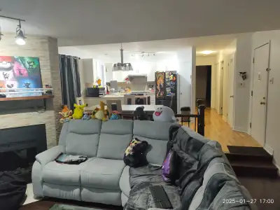 Appartement situé au nord-est de Montréal dans un coin tranquille. Loyer : 820 CAD / mois – tout inc...