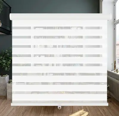 Cordless Zebra Blinds Roller Shades for Window-Dual Layer-NEW, View more