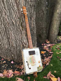 Cigar Box Guitar électrique