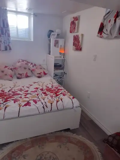 Bedroom plus den Basement full of SUNLIGHT