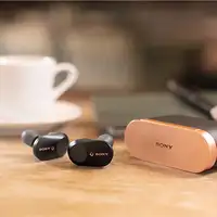 SONY WF-1000XM3 Wireless Noise Cancelling Headphones