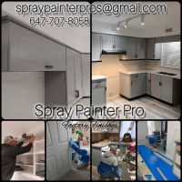 Spray,Decorative, Regular Painting, Cabinet modification etc