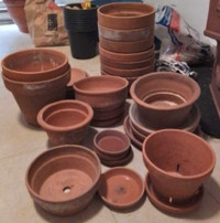 Terracotta Pot / Pots en Terre Cuite