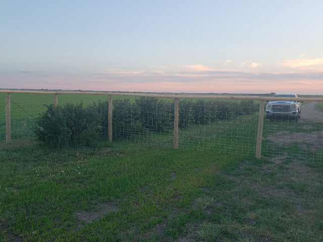 Custom Cattle Fencing and Acreage Fencing in Other in Prince Albert - Image 2