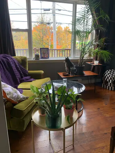 Hello! I’m looking for a responsible and respectful roommate to share a 2.5-bedroom, 1-bath place on...