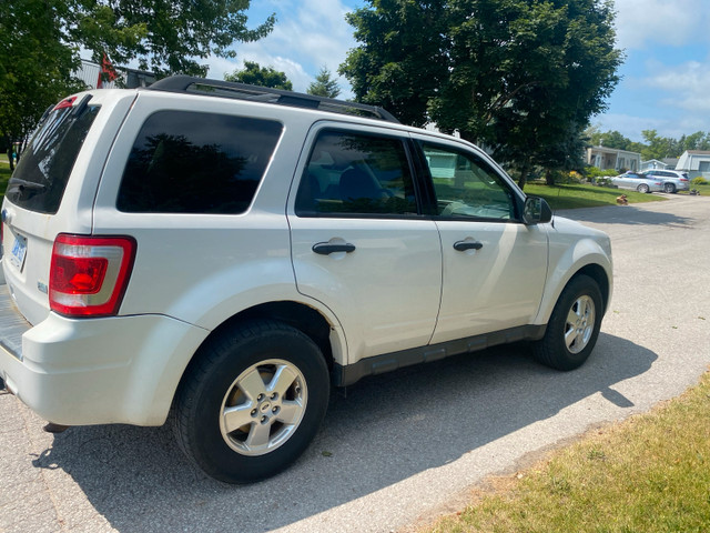 2011 Ford Escape XLT in Cars & Trucks in Barrie - Image 2